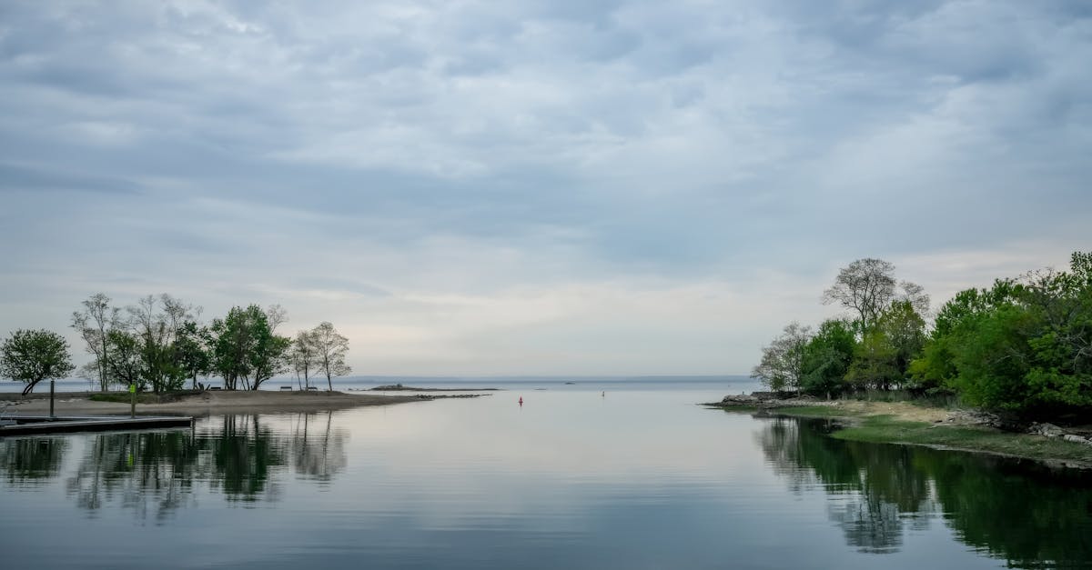 A serene lakeside view with reflections of trees under a cloudy sky.