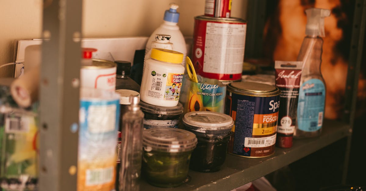 A cluttered shelf in a workshop stocked with various paint containers and supplies.