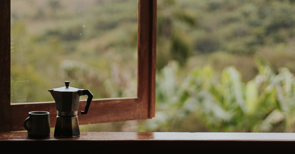 A coffee maker and mug on a window sill, overlooking a lush greenery outdoors.