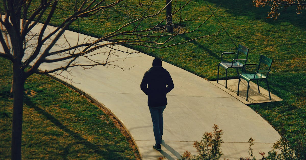 Person walks alone on a winding park path surrounded by autumnal trees.